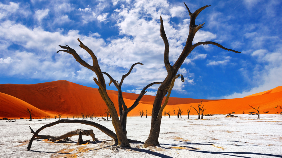 AdobeStock 113549879
